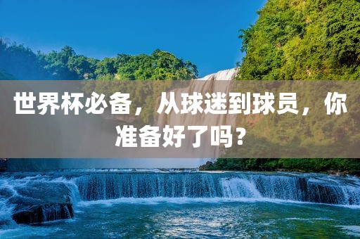 世界杯必备，从球迷到球员，你准备好了吗？