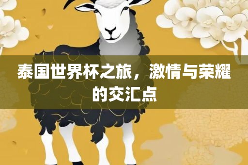 泰国世界杯之旅，激情与荣耀的交汇点