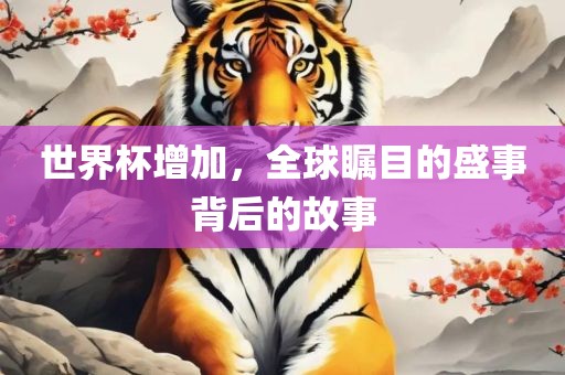 世界杯增加，全球瞩目的盛事背后的故事