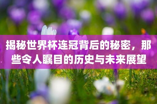 揭秘世界杯连冠背后的秘密，那些令人瞩目的历史与未来展望