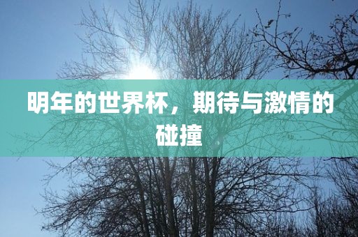 明年的世界杯，期待与激情的碰撞