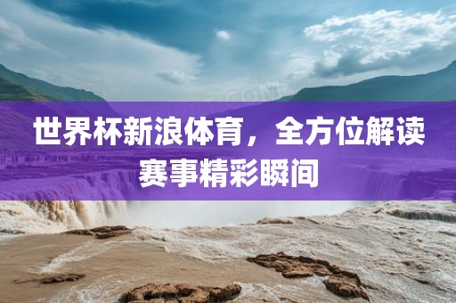 世界杯新浪体育，全方位解读赛事精彩瞬间
