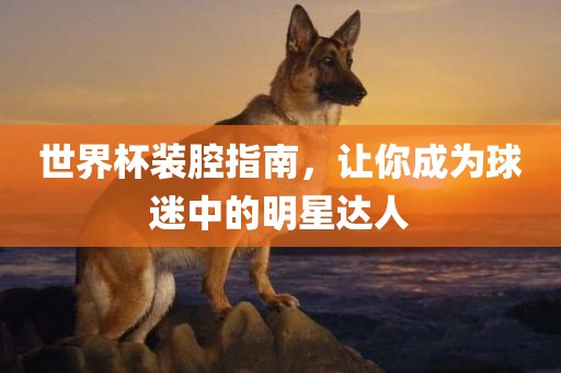 世界杯装腔指南，让你成为球迷中的明星达人
