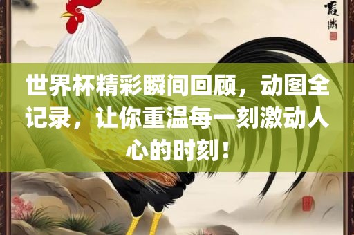 世界杯精彩瞬间回顾，动图全记录，让你重温每一刻激动人心的时刻！