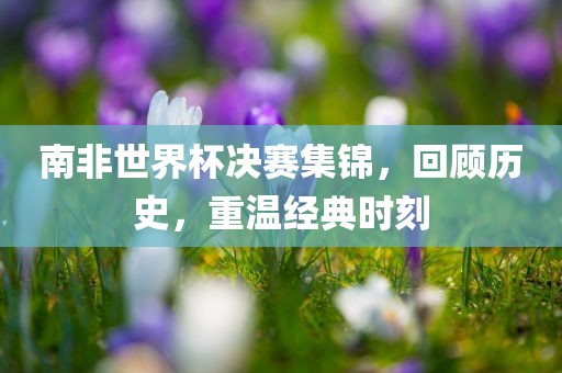 南非世界杯决赛集锦，回顾历史，重温经典时刻