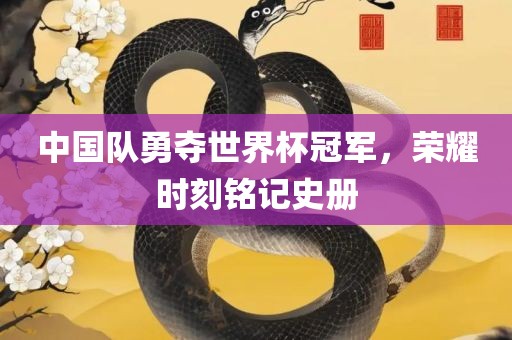 中国队勇夺世界杯冠军，荣耀时刻铭记史册
