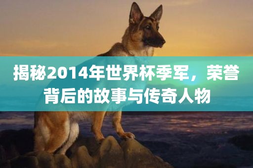 揭秘2014年世界杯季军，荣誉背后的故事与传奇人物