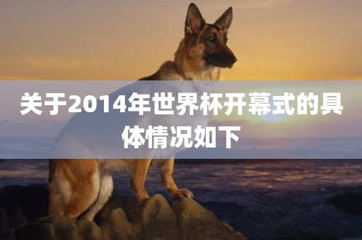关于2014年世界杯开幕式的具体情况如下