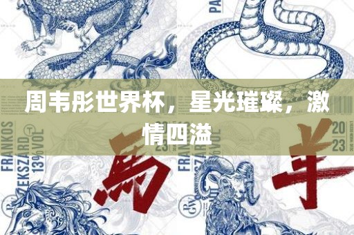 周韦彤世界杯，星光璀璨，激情四溢