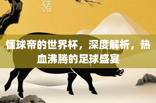 懂球帝的世界杯，深度解析，热血沸腾的足球盛宴