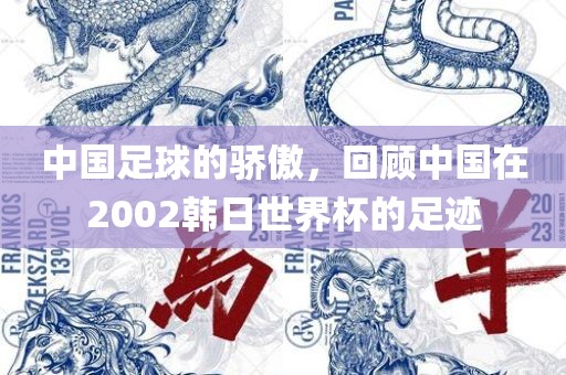 中国足球的骄傲，回顾中国在2002韩日世界杯的足迹