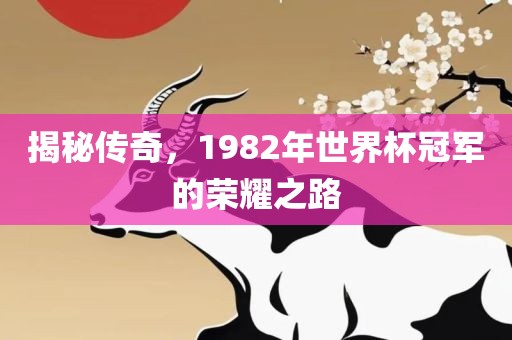 揭秘传奇，1982年世界杯冠军的荣耀之路