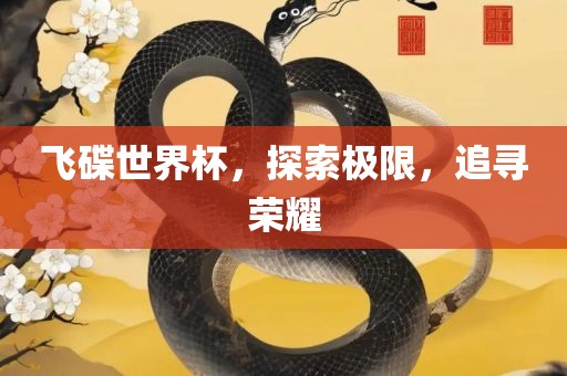 飞碟世界杯，探索极限，追寻荣耀