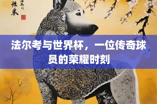 法尔考与世界杯，一位传奇球员的荣耀时刻