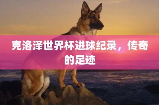 克洛泽世界杯进球纪录，传奇的足迹