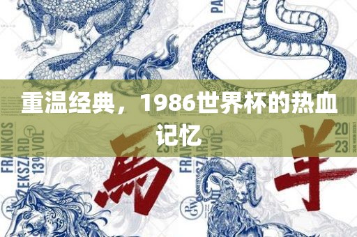 重温经典，1986世界杯的热血记忆
