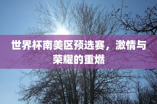 世界杯南美区预选赛，激情与荣耀的重燃