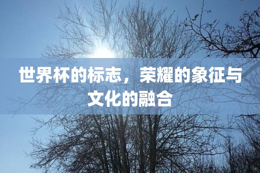 世界杯的标志，荣耀的象征与文化的融合