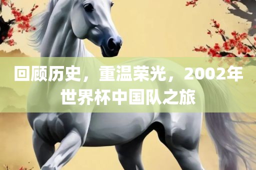 回顾历史，重温荣光，2002年世界杯中国队之旅