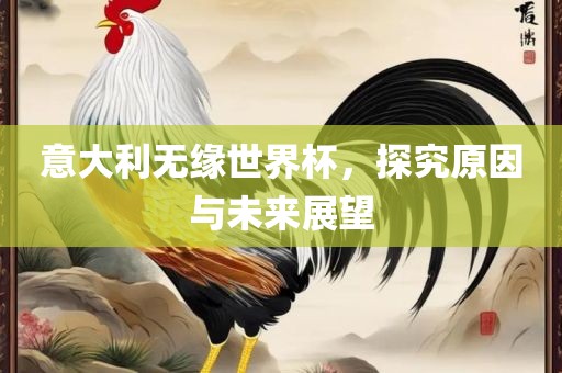 意大利无缘世界杯，探究原因与未来展望