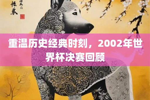 重温历史经典时刻，2002年世界杯决赛回顾吉安市靖泰电力工程有限公司