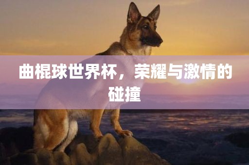 曲棍球世界杯，荣耀与激情的碰撞吉安市靖泰电力工程有限公司
