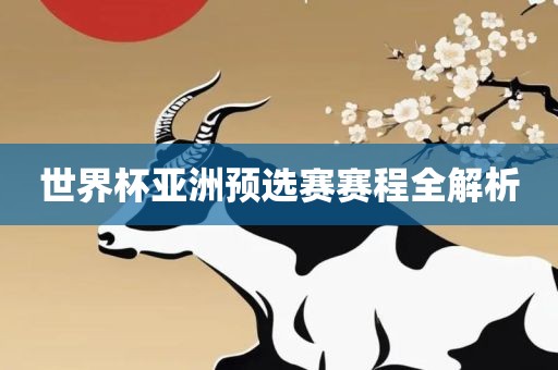 世界杯亚洲预选赛赛程全解析