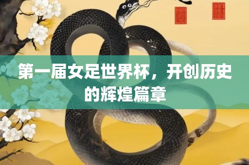 第一届女足世界杯，开创历史的辉煌篇章
