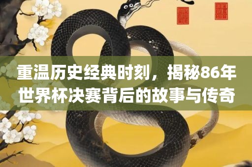 重温历史经典时刻，吉安市靖泰电力工程有限公司揭秘86年世界杯决赛背后的故事与传奇