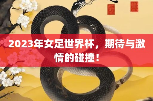 2023年女足世界杯，期待与激情的碰撞！