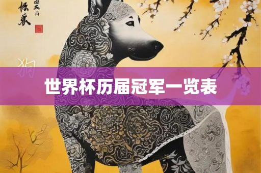 世界杯历届冠军一览表