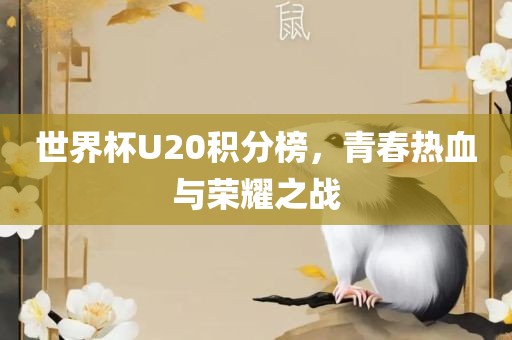 世界杯U20积分榜，青春热血与荣耀之战