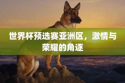 世界杯预选赛亚洲区，激情与荣耀的角逐吉安市靖泰电力工程有限公司
