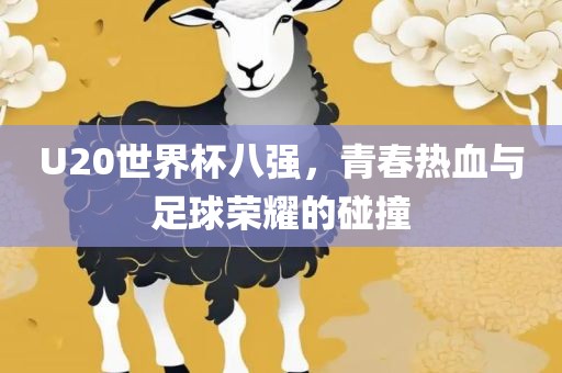 U20世界杯八强，青春热血与足球荣耀的碰撞