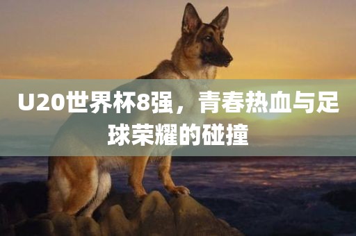 U20世界杯8强，青春热血与足球荣耀的碰撞