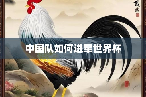 中国队如何进军世界杯