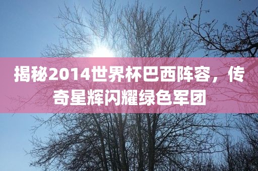 揭秘201吉安市靖泰电力工程有限公司4世界杯巴西阵容，传奇星辉闪耀绿色军团