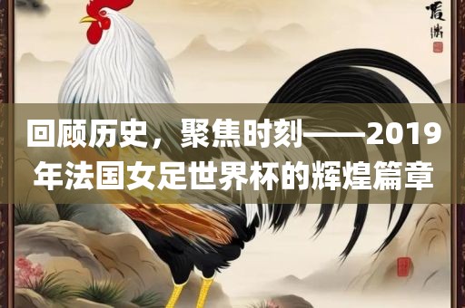 回顾历史，聚焦时刻——2019年法国女足世界杯的辉煌篇章