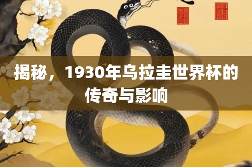 揭秘，1930年乌拉圭世界杯的传奇与影响