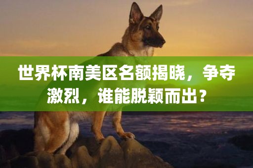 世界杯南美区名额揭晓，争夺激烈，谁能脱颖而出？吉安市靖泰电力工程有限公司