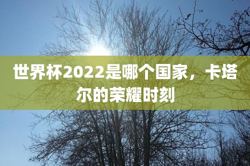 世界杯2022是哪个国家，卡塔尔的荣耀时刻