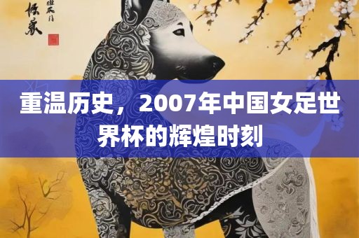 重温历史，2007年中国女足世界杯的辉煌时刻