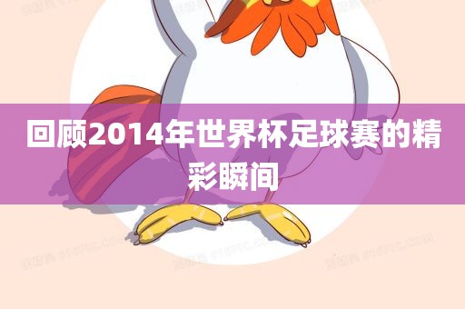 回顾2014年世界杯足球赛的精彩瞬间吉安市靖泰电力工程有限公司