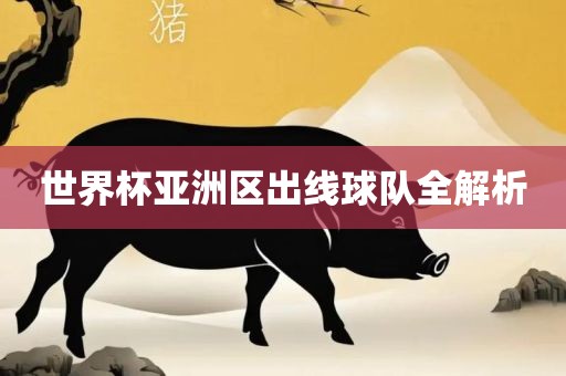 世界杯亚洲区出线球队全解析