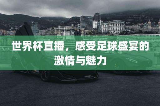 世界杯直播，感受足球盛宴的激情与魅力吉安市靖泰电力工程有限公司