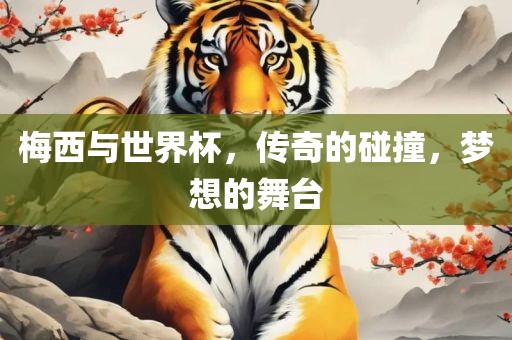 梅西与世界杯，传奇的碰撞，梦想的舞台