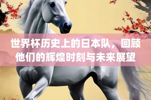 世界杯历史上的日本队，回顾他们的辉煌时刻与未来展望吉安市靖泰电力工程有限公司