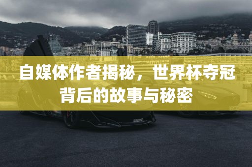 自媒体作者揭秘，世界杯夺冠背后的故事与秘密