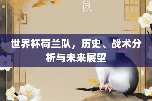 世界杯荷兰队，历史、战术分析与未来展望