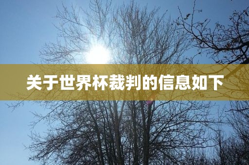 关于世界杯裁判的信息如下吉安市靖泰电力工程有限公司